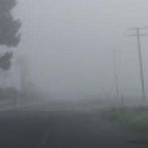 Meet your Posher, Cat